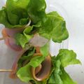 suzuna＊'s cooksnap of when they made お弁当に！くるっとハムレタス.
