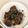 tamny's cooksnap of when they made ☆まるごと椎茸の肉巻き☆.