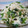 かばおとうさこ's cooksnap of when they made ほうれん草と豆腐の白和え.