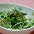 ゆうかりコアラ's cooksnap of when they made ご飯によく合う！☆かいわれのおかか和え☆.
