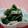 ゆうかりコアラ's cooksnap of when they made ほうれん草とささみの辛子醤油和え❤.