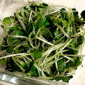KimiキラMiku's cooksnap of when they made 簡単　かいわれ大根のごま和え.