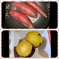 ゆけり３兄弟's cooksnap of when they made 炊飯器で！なめらかさつまいもﾍﾟｰｽﾄ.