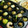 zakkiiM's cooksnap of when they made 「たこ焼き器」でアヒージョしよう!.