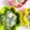 ＹＯＵ太's cooksnap of when they made 【離乳食後期】バナナ豆乳蒸しパン.