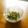 pali's cooksnap of when they made いんげんの味噌タルタルサラダ.