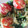 きんとと1234's cooksnap of when they made サラダほうれん草とアボカドのからし和え.