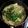 ロイヤルミルク♪'s cooksnap of when they made 簡単本格キムチ鍋.