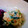 ちよこれいと♡'s cooksnap of when they made ひと手間でグンと美味しい、料亭風 白和え.