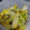 和英ママ's cooksnap of when they made 白だしで♪簡単白菜の漬物.