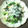 madamーyuri's cooksnap of when they made 小松菜・もやし・しめじ・厚揚げ。かけ醤油.