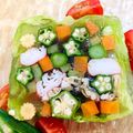 はらはらまる's cooksnap of when they made 野菜のテリーヌ夏野菜のオクラが♡.