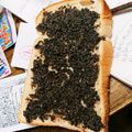 ねぞろ's cooksnap of when they made トーストに！3分で黒ごまきな粉クリーム.