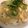 ゆきにな's cooksnap of when they made 簡単 美味しい たぬき丼 卵 揚げ玉.