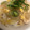 ゆきにな's cooksnap of when they made 簡単 美味しい たぬき丼 卵 揚げ玉.