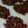 とも☆♪☆♪'s cooksnap of when they made バレンタインに♡パン粉でクランチチョコ♡.