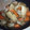 うさぎたんぬ's cooksnap of when they made 簡単☆油揚げと鶏肉の炒め煮♪.