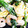 まじちか's cooksnap of when they made エビとスティックセニョールのマヨ炒め.