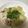 ♡櫻蘭♡'s cooksnap of when they made ほったらかしで美味しい、塩肉じゃが.