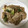 ♡櫻蘭♡'s cooksnap of when they made お弁当にも★豚肉とネギの中華炒め.