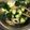 クックZ8J4H4☆'s cooksnap of when they made ちくわときゅうりの簡単サラダ♪懐かし味☆.
