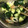クックZ8J4H4☆'s cooksnap of when they made ちくわときゅうりの簡単サラダ♪懐かし味☆.