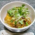 ebipeco's cooksnap of when they made 早い！安い！美味い！たぬき丼！天かすで♡.