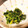 脱あんぱん's cooksnap of when they made ほうれん草のおかかめんマヨ和え.