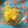 みぐめー's cooksnap of when they made 超～簡単❢❢　❝あまなつ❞の砂糖漬け❤.