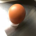 ゆったん's cooksnap of when they made ペットボトルのふたで卵スタンド.