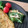 あず7225's cooksnap of when they made 菜の花ときのこのマヨマスタード炒め.