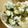 maruru-nn's cooksnap of when they made ごろごろ里芋となばなの柚子マヨサラダ.