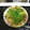 Akko333's cooksnap of when they made これでもか葱の☆関西風お好み焼き♪.