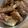 ぶ→→'s cooksnap of when they made 炊飯器でやわらかスペアリブ！BBQ味.