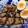 かわいい星優のママ's cooksnap of when they made ほろほろ♩簡単！豚の角煮.