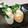 noriko912's cooksnap of when they made ちくわ チーズの 小鉢.