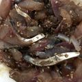 まめんこぉ's cooksnap of when they made 【超簡単】ゴマあじ【刺身何でもO.K.】.