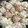 さくらやわ's cooksnap of when they made 花シュウマイ蒸し 焼きレシピ.