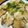 カピぞう's cooksnap of when they made 生ほっけのねぎ焼き☆.