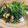クックX7MMDE☆'s cooksnap of when they made 小松菜と油揚げの煮浸し.