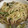 BMWR's cooksnap of when they made 豚ゴボウと水菜のｼｬｷｼｬｷ和風パスタ☆.