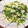卵せんべい's cooksnap of when they made 菜の花の白和え.