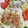 みっくママ's cooksnap of when they made 新玉ねぎときゅうりの和え物.