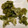 moco00moco's cooksnap of when they made ふきのとうの天ぷら.