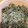 クックAZTKBL☆'s cooksnap of when they made ふきのとう&サバ味噌煮缶でご飯のお供♪.