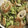 クックZ8J4H4☆'s cooksnap of when they made ちくわで簡単おつまみ♫塩麹ずんだ和え✿.