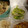みゆwaco 's cooksnap of when they made キャベツとしらすの和え物.