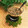 なつき☆ミ's cooksnap of when they made ヨシダソースで簡単自家製焼き肉のタレ.