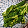 eiyoushi's cooksnap of when they made 菜の花（小松菜）のお浸し.