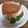 クックLJ2W4Q☆'s cooksnap of when they made りんごとカマンベールの鶏ハムサンド.